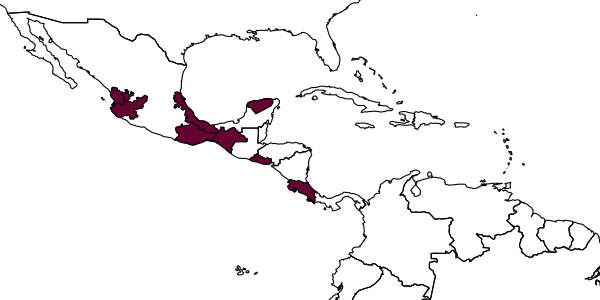 map of Odontobracon niger     Marsh, 1988